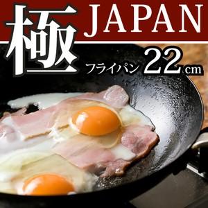 リバーライト 極 JAPAN 鉄 フライパン 22cm (IH対応) (日本製) JAN: 4903449125036 (送料無料)｜ryouhin-hyakka