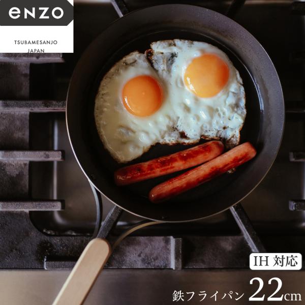 鉄フライパン フライパン 22cm 和平フレイズ enzo エンゾウ 鉄 en-008 490377...