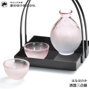 廣田硝子 酒器三点揃 HO-2501 4977678220503