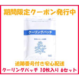クーリングパッチ 6袋セット 10枚入り6セット 吉田養真堂