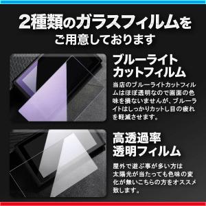 Switch 保護 フィルム スイッチ ガラス...の詳細画像2