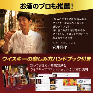ロックグラス 300ml 人気 おしゃれ ギフ...の詳細画像2