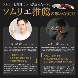 【ソムリエ推薦】 SaintGraal 〈ナノ...の詳細画像4