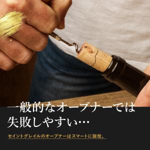 【ソムリエ推薦】 SaintGraal 〈ナノ...の詳細画像5