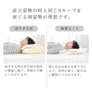 【柔道整復師推薦】ギフト 極薄枕 低い枕 低め...の詳細画像3
