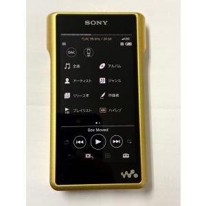 SONY NW-WM1Z 256GB デジタルオーディオの買取情報