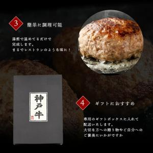 神戸牛 ハンバーグ 120g×3袋 湯煎の詳細画像5