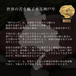 神戸牛 ビーフシチュー 200g×3袋 湯煎の詳細画像2