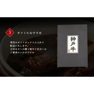 神戸牛 ビーフシチュー 200g×3袋 湯煎の詳細画像5