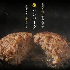 生ハンバーグ プレミアムハンバーグ 6個入りの詳細画像2