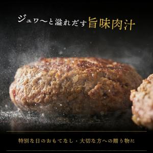 生ハンバーグ プレミアムハンバーグ 6個入りの詳細画像3