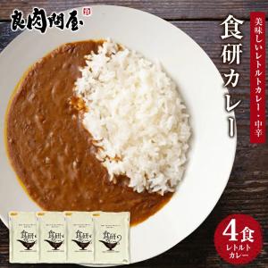 食研カレー 4食(200g×4) 日本食研 中辛 レトルトカレー