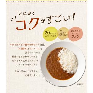 食研カレー 4食(200g×4) 日本食研 中...の詳細画像1