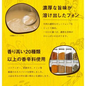 食研カレー 4食(200g×4) 日本食研 中...の詳細画像2