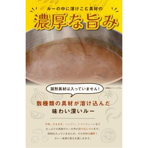 食研カレー 4食(200g×4) 日本食研 中...の詳細画像4