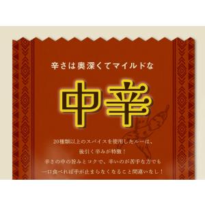 食研カレー 4食(200g×4) 日本食研 中...の詳細画像5