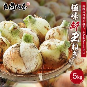 有機完熟堆肥使用で土作りからこだわった究極の玉ねぎ『淡路島の極味玉ねぎ』 新たまねぎ 5kg 箱入り