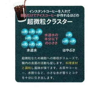 クリスタルウォーター りょう泉はやぶさ温泉水ラ...の詳細画像4