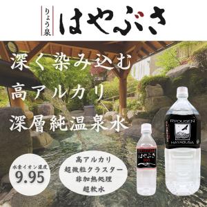 りょう泉はやぶさ温泉水 2L×6本 (PFAS検査合格 高アルカリ 超軟水 紫外線殺菌 非加熱処理 ケア 料理 コーヒー 備蓄 ミネラルウォーター)