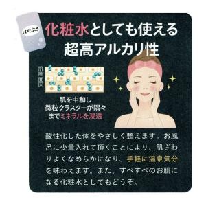 りょう泉はやぶさ温泉水 2L×6本 (PFAS...の詳細画像2