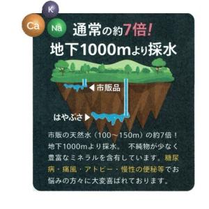 りょう泉はやぶさ温泉水 コック付き20L Bi...の詳細画像4