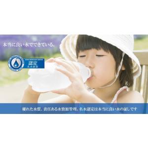 りょう泉はやぶさ温泉水 コック付き20L Bi...の詳細画像5