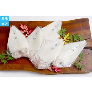 産地直送 剣先いか一夜干し 5枚入り 干物 島根県