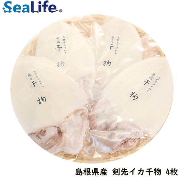 産地直送 島根県産 剣先イカ干物 約100g〜150g×4尾 日本海 海鮮 贈答品 贈り物 シーライ...
