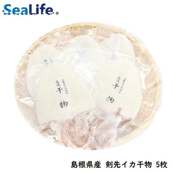 産地直送 島根県産 剣先イカ干物 約100g〜150g×5尾 日本海 海鮮 贈答品 贈り物 シーライ...