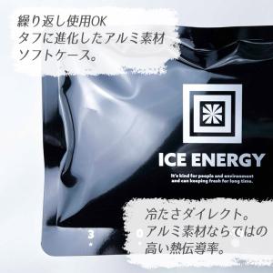 保冷剤 最強 長時間 アイスエナジー 500g...の詳細画像2