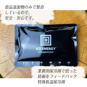 保冷剤 最強 長時間 アイスエナジー 500g...の詳細画像4