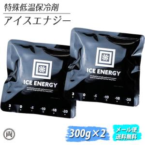 保冷剤 最強 長時間 アイスエナジー 300g ×2個セット アルミソフトケース 保冷 長持ち クーラーボックス 溶けない 凍結 レジャー キャンプ アウトドア メール便