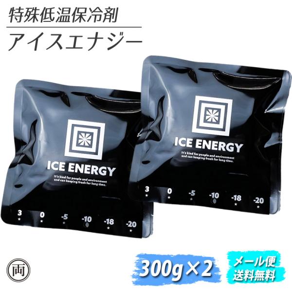 保冷剤 最強 長時間 アイスエナジー 300g ×2個セット アルミソフトケース 保冷 長持ち クー...