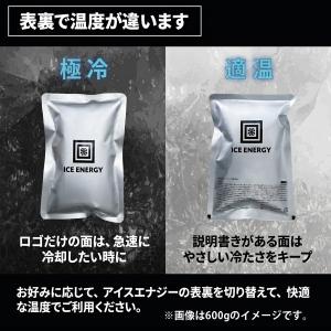 保冷剤 アイスエナジー ウェア用アルミソフトケ...の詳細画像1