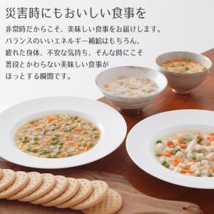 25年保存 美味しい サバイバルフーズ 小缶 ...の詳細画像2