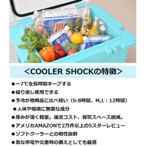保冷剤 ー7℃を長時間キープ 正規品 クーラー...の詳細画像1