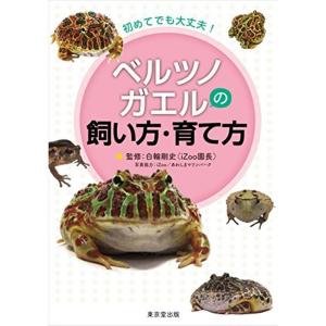 初めてでも大丈夫 ベルツノガエルの飼い方・育て方