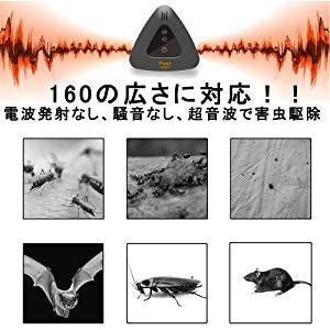 コウモリ 駆除のランキングtop100 人気売れ筋ランキング Yahoo ショッピング