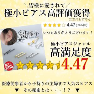 選べる4色3サイズ超極小ピアス 極小 小さめ ...の詳細画像1