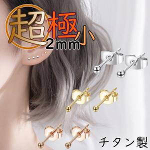 ピアス 小さい ピン チタン製 2mm 極小 つけっぱなし ピアス チタン シンプルピアス 仕事用 仕事 オフィス｜rysshop