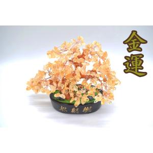 招財樹 シトリン 黄水晶 風水インテリア 天然石置物 楕円台座 20cm 金運 財運