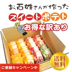 【キャンペーン商品】送料無料 お百姓さんが作ったスイートポテト お得な訳あり 約20ケ　鳴門金時 丁井