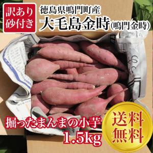 【在庫限り】　お試し　送料無料　訳あり　砂付き小芋（S〜３S）　さつまいも　鳴門金時　大毛島産　産地直送　大毛島金時　1.5kg　徳島県産