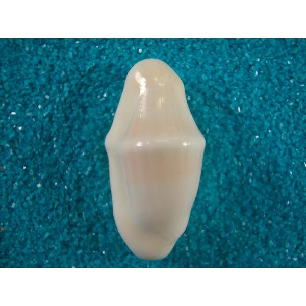 シモンカフスボタン