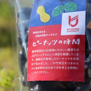 おおまさりネオのおすすめ人気商品一覧 通販 - Yahoo!ショッピング