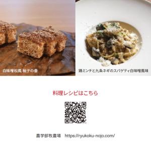【オリジナル白味噌】龍谷米使用|龍谷大学農学部...の詳細画像4