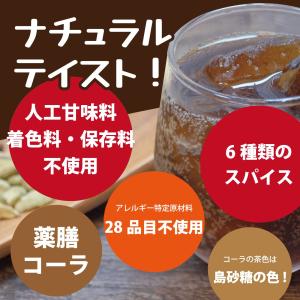 アイランド クラフトコーラ 300ml ×4本...の詳細画像2