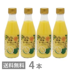 金秀バイオ 沖縄シークヮーサー（500ml）【3本セット】沖縄