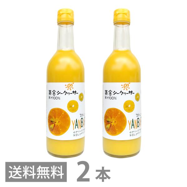 黄金シークワーサー 500ml ×2本セット マイルドタイプ クガニ 原液 沖縄産 山原 シークヮー...