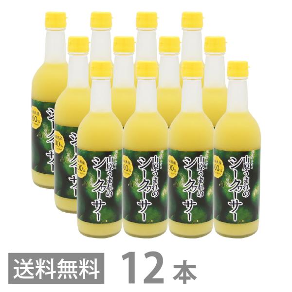 山原うまれのシークワーサー 500ml ×12本セット 送料無料 沖縄産 山原 シークヮーサー 原液...